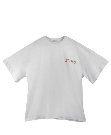 تیشرت چاپ دار مردانه